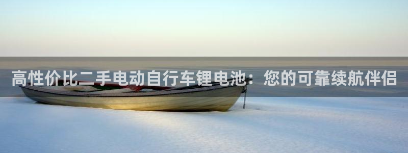 最新凯时官网网址：高性价比二手电动自行车锂电池：您的可靠续航伴侣