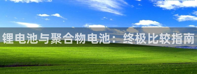 尊龙网址苹果版下载：锂电池与聚合物电池：终极比较指南