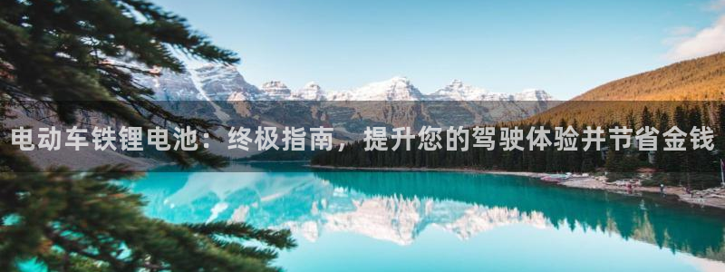 尊龙集团有限公司地址：电动车铁锂电池：终极指南，提升您的驾驶体验并节省金钱