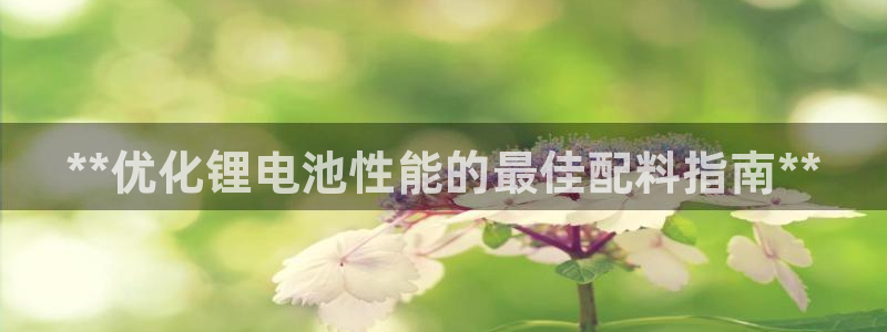 尊龙凯时人生就是博游戏网站：**优化锂电池性能的最佳配料指南**