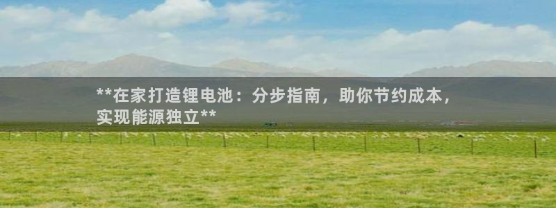 尊龙现金d88：**在家打造锂电池：分步指南，助你节约成本，
实现能源独立**