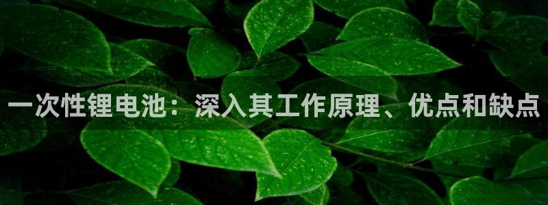 尊龙凯时返现：一次性锂电池：深入其工作原理、优点和缺点