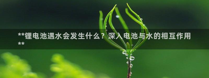 尊龙ag旗舰厅官网登录：**锂电池遇水会发生什么？深入电池与水的相互作用
**