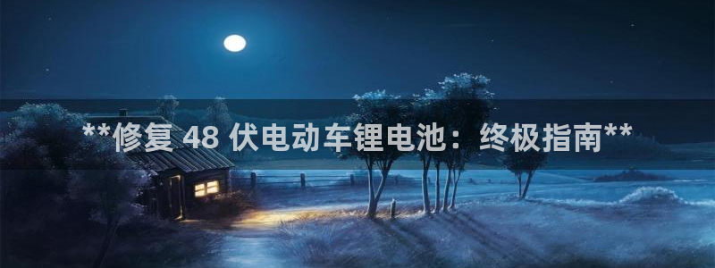 尊龙服饰有限公司地址：**修复 48 伏电动车锂电池：终极指南**