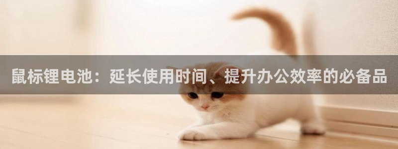 尊龙d88官网登录下载：鼠标锂电池：延长使用时间、提升办公效率的必备品