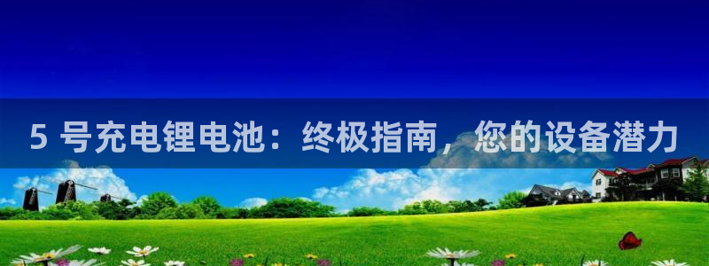 尊龙实业有限公司：5 号充电锂电池：终极指南，您的设备潜力