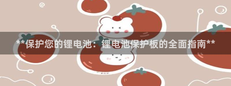 尊龙体育怎么样：**保护您的锂电池：锂电池保护板的全面指南**