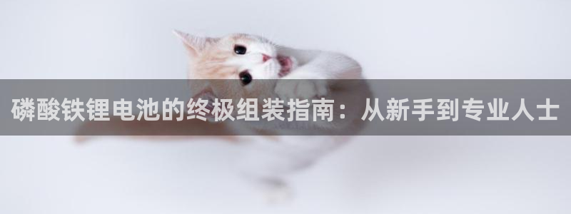 尊龙网站登录：磷酸铁锂电池的终极组装指南：从新手到专业人士