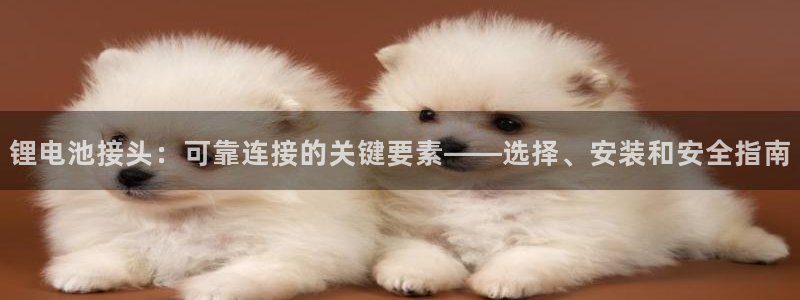 d88尊龙官网手机app：锂电池接头：可靠连接的关键要素——选择、安装和安全指南