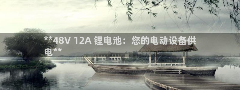 尊龙d88平台版下载：**48V 12A 锂电池：您的电动设备供
电**