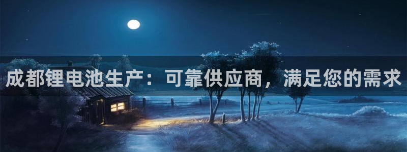 尊龙实业有限公司是正规还是仿：成都锂电池