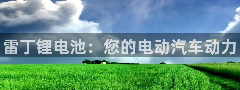 尊龙l1500：雷丁锂电池：您的电动汽车动力