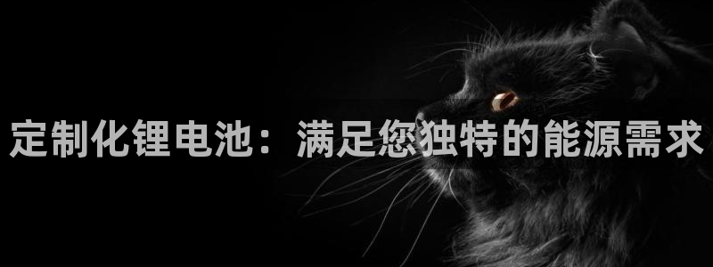 尊龙d88官网赢来就送38：定制化锂电池：满足您独特的能源需求
