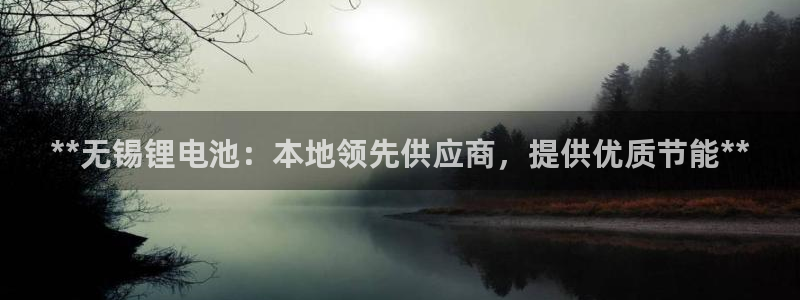 尊龙新版登录网址下载：**无锡锂电池：本地领先供应商，提供优质节能**