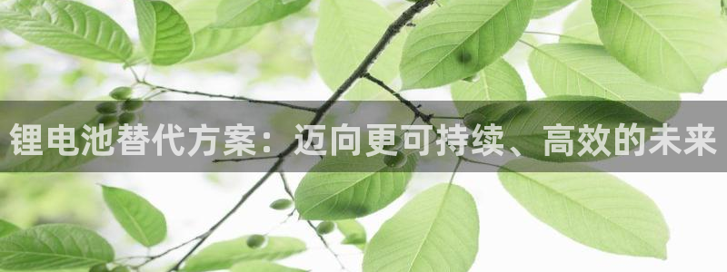 凯时游戏app：锂电池替代方案：迈向更可持续、高效的未来