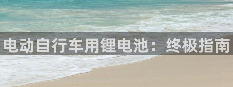 尊龙d88官网登录下载：电动自行车用锂电池：终极指南