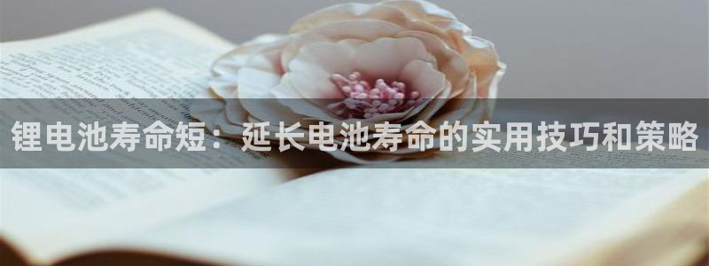 尊龙凯时是正规平台吗：锂电池寿命短：延长