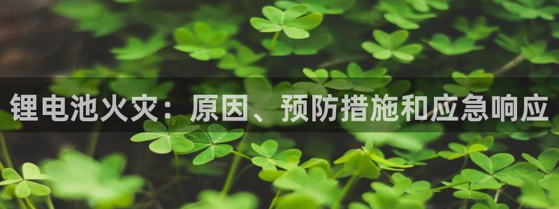 凯时kb88会员登录：锂电池火灾：原因、预防措施和应急响应
