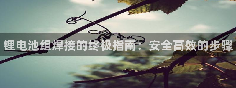 凯时app官方首页
