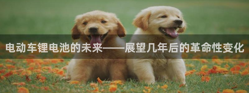 尊龙官网手机版