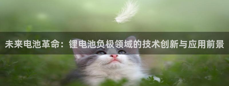 尊龙官方网站最新版V9.3.06介绍