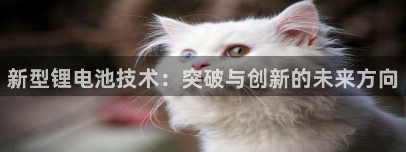 尊龙人生手机版