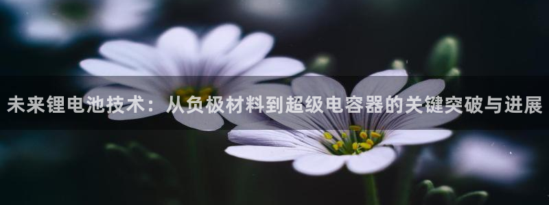 尊龙凯时是大平台吗