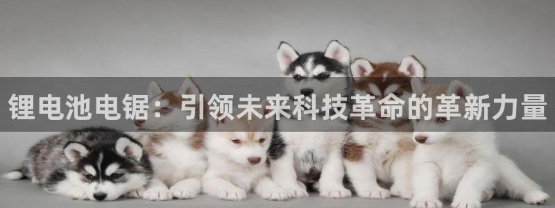 尊龙凯时法充十万返现多少
