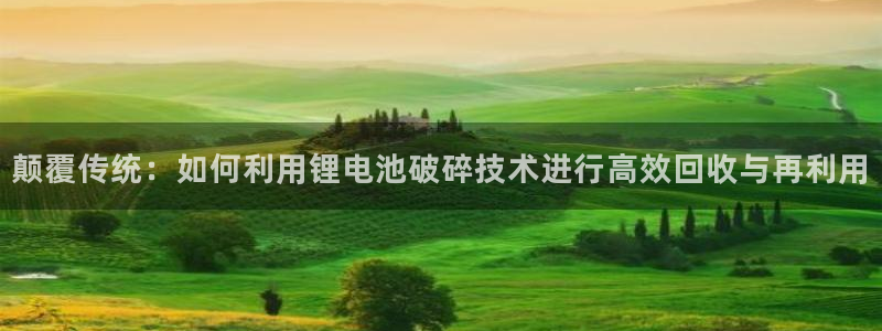 尊龙网站 人生就是博