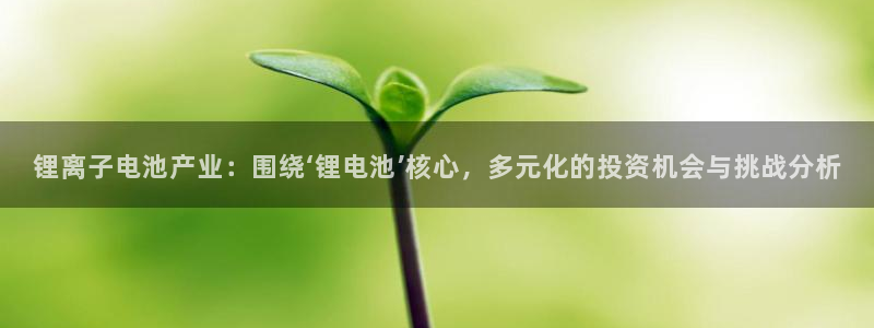 尊龙网址是选访问zd207