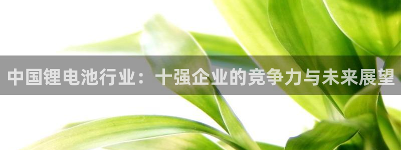 尊龙凯时能做退米么