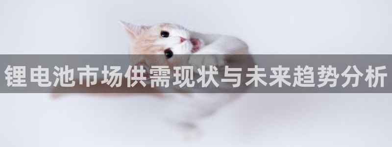 尊龙官网