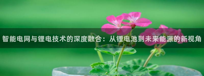 尊龙z6官网ag