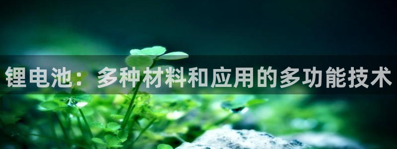 尊龙人生就是博旧版现金娱乐一下