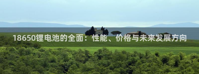 尊龙游戏官网