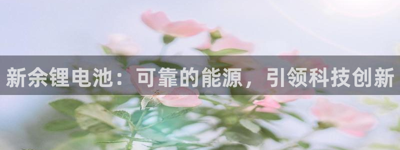 尊龙凯时口碑好吗：新余锂电池：可靠的能源，引领科技创新