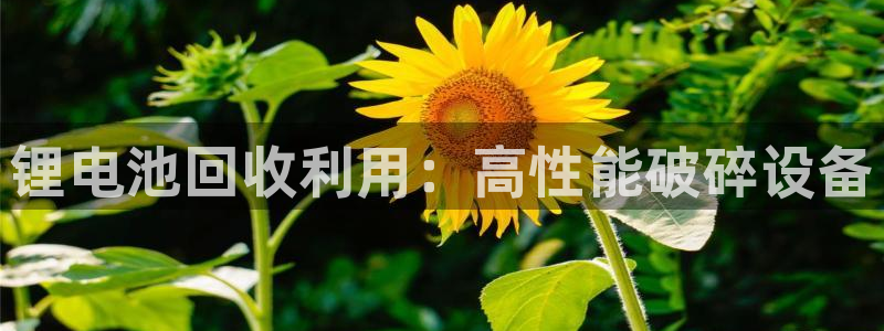 尊龙人生就是博一下首页：锂电池回收利用：高性能破碎设备
