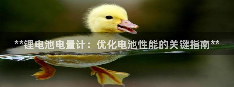 尊龙t400和尊龙t300区别：**锂电池电量计：优化电池性能的关键指南**