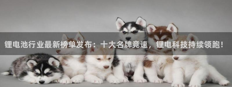 尊龙凯时可以提现吗
