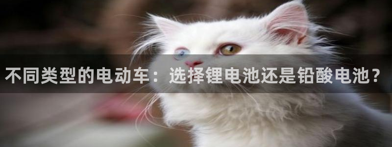 ag尊龙凯时俱乐部