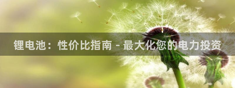凯时k66会员登录：锂电池：性价比指南 - 最大化您的电力投资