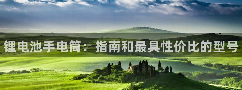 尊龙电子：锂电池手电筒：指南和最具性价比的型号