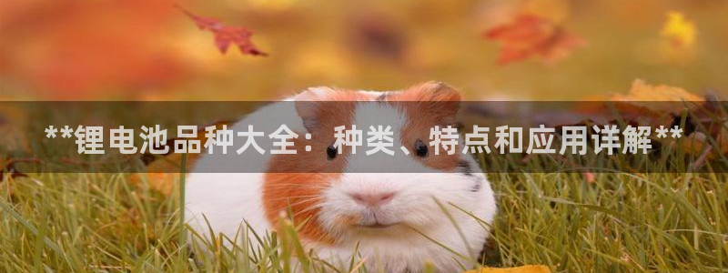 尊龙app注册官网：**锂电池品种大全：种类、特点和应用详解**