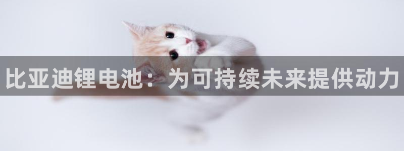 尊龙凯时人生就博官网登录：比亚迪锂电池：为可持续未来提供动力