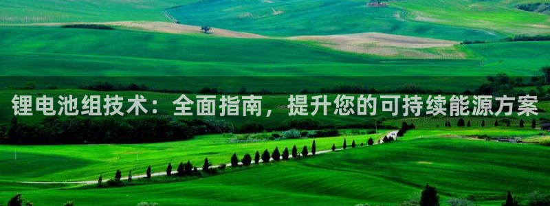 Z6尊龙凯时登录：锂电池组技术：全面指南，提升您的可持续能源方案