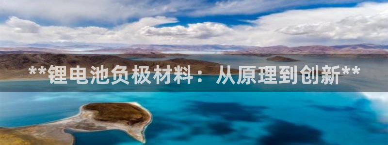 尊龙凯时网：**锂电池负极材料：从原理到创新**