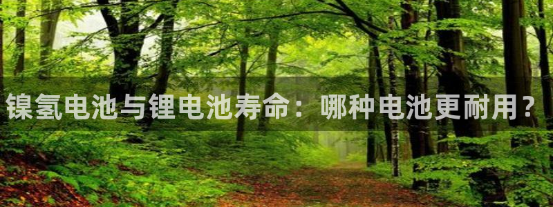 尊龙d88手机app免费下载：镍氢电池与锂电池寿命：哪种电池更耐用？