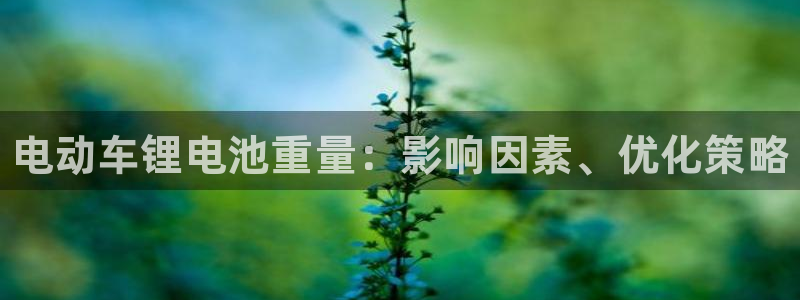 尊龙人生就是博官方官网：电动车锂电池重量：影响因素、优化策略