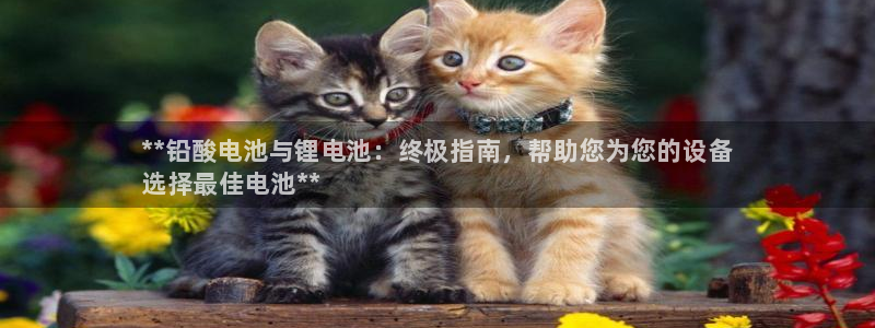 尊龙人生就是博ag旗舰厅：**铅酸电池与锂电池：终极指南，帮助您为您的设备
选择最佳电池**