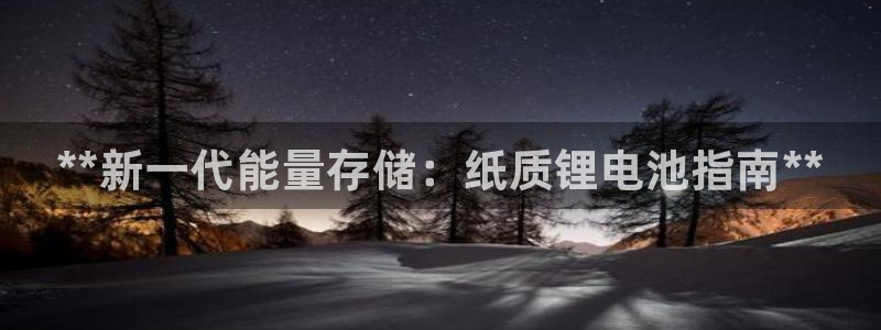 尊龙人生就是-首页：**新一代能量存储：纸质锂电池指南**